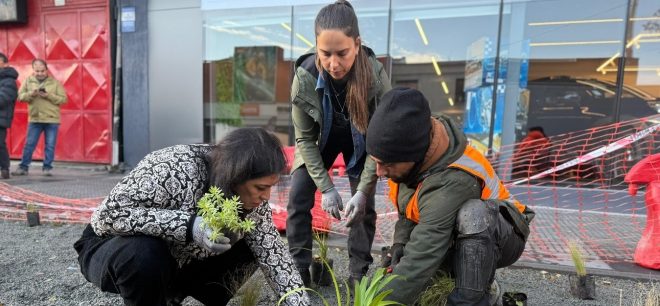 Personas plantan árboles en Rutas Peatonales de avenida O'Higgins